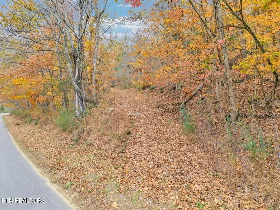 0 Ensor Hollow Rd, Buffalo Valley, TN 38548 - Image #2