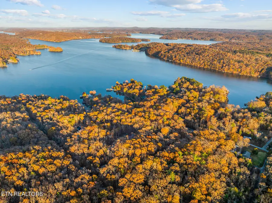 Lakeville Drive, Spring City, TN 37381 - Image #3