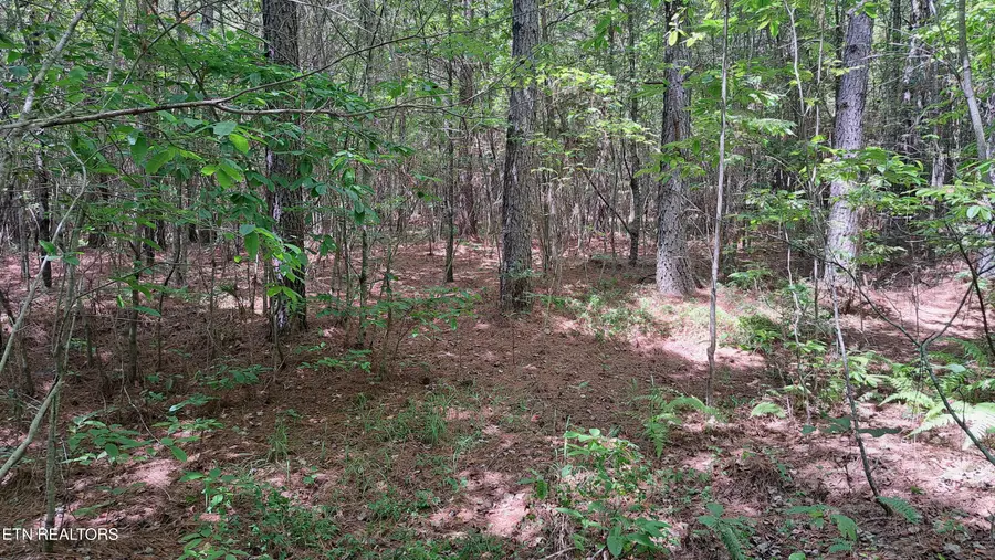 Lot 21 Airport Rd (pca), Rockwood, TN 37854 - #2