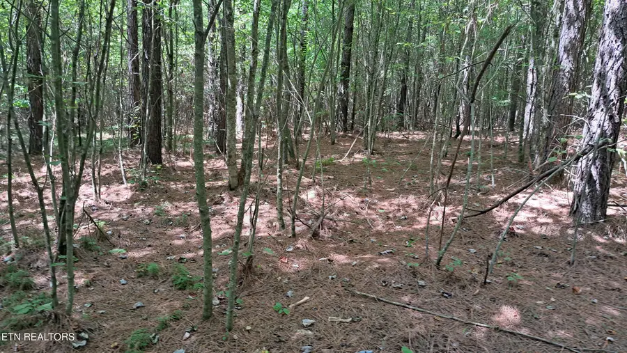 Lot 21 Airport Rd (pca), Rockwood, TN 37854 - #3