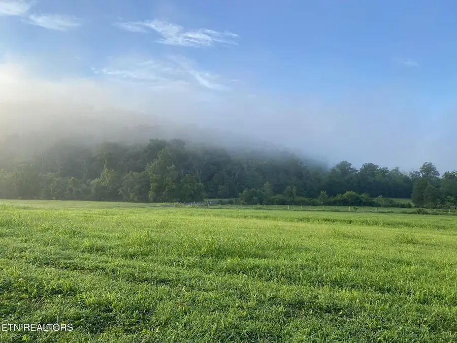 2497 Mt Carmel Rd, Decatur, TN 37322 - Image #3