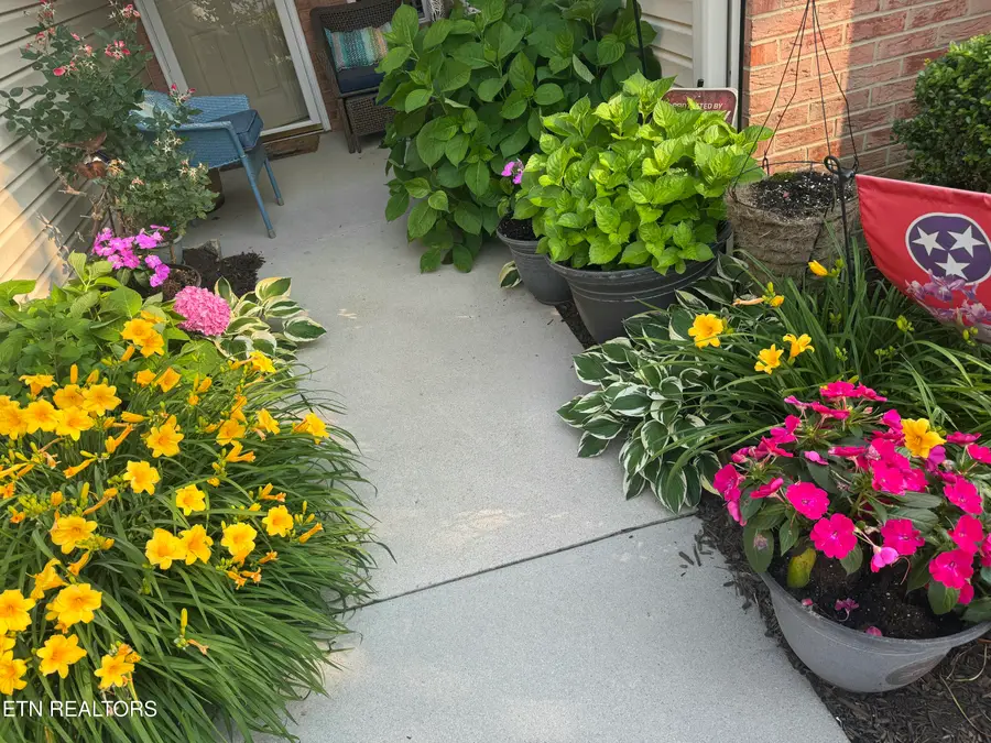 4528 Shamus Way, Knoxville, TN 37918 - Image #3