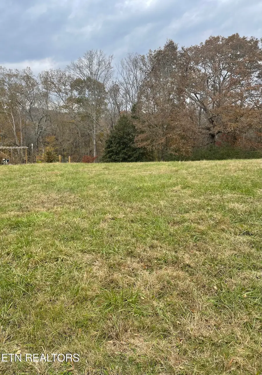 160 Brabson Court, Kingston, TN 37763 - Image #3