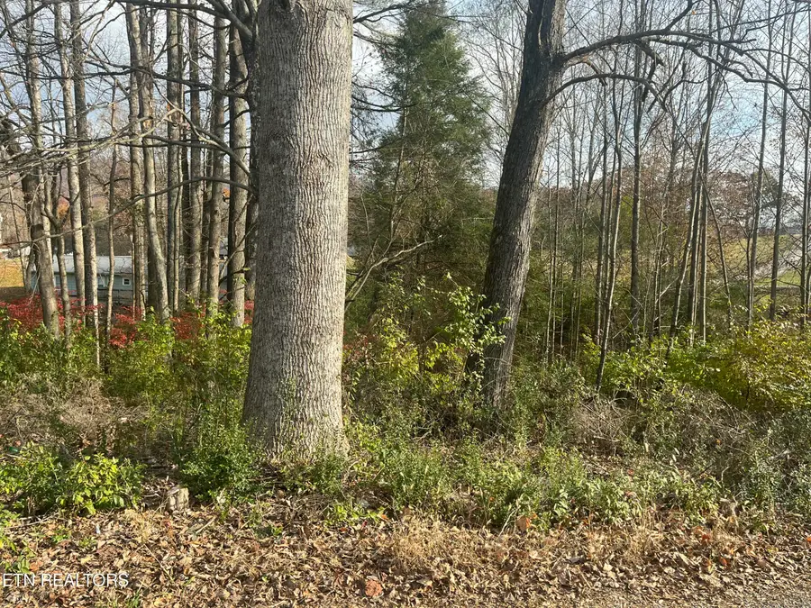 114 E C Noe Rd, Oliver Springs, TN 37840 - Image #3