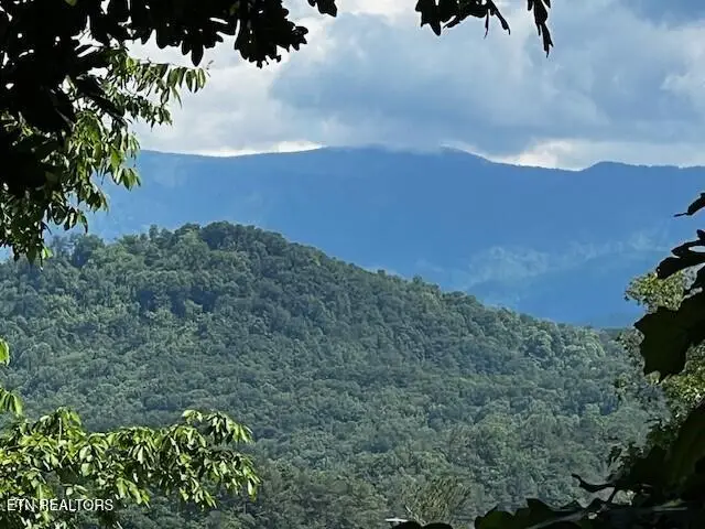 - Chinquapin Drive, Sevierville, TN 37862 - Image #2