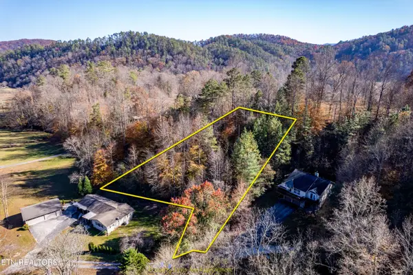 W Millers Cove Rd, Walland, TN 37886
