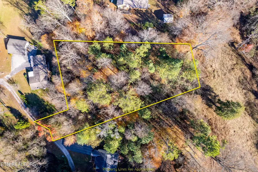 W Millers Cove Rd, Walland, TN 37886 - Image #3