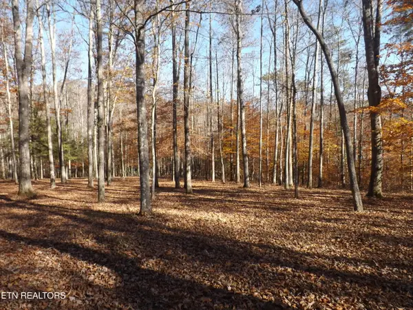 TBD Rt 516 Old Cross Rd, Pineville, KY 40977