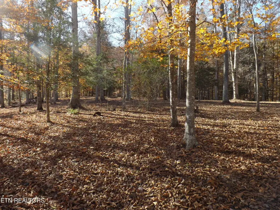 TBD Rt 516 Old Cross Rd, Pineville, KY 40977 - Image #2