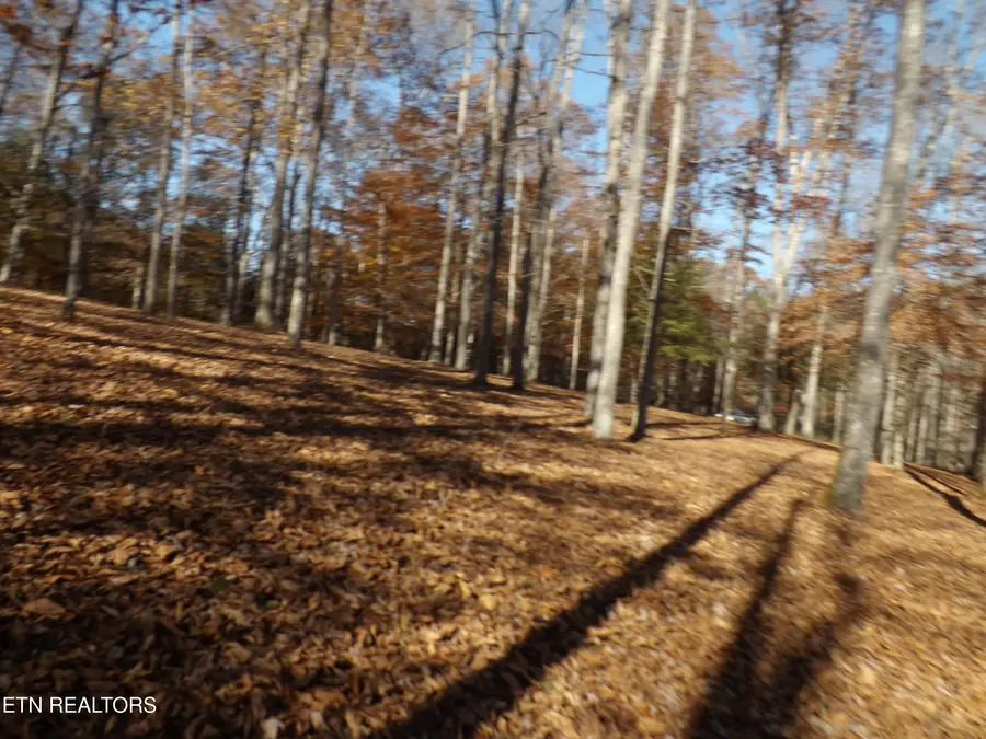 TBD Rt 516 Old Cross Rd, Pineville, KY 40977 - Image #3