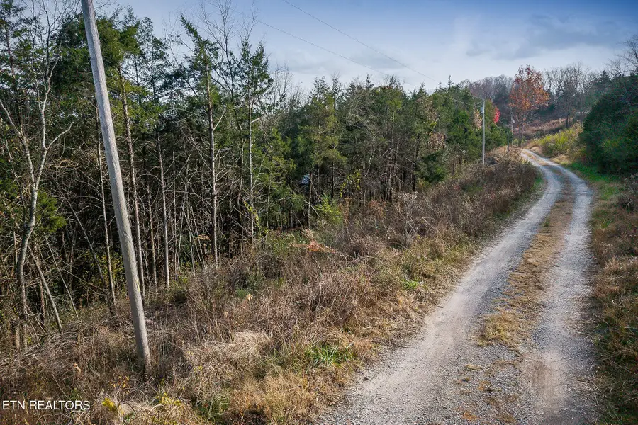 0 Martin Creek Hwy, Granville, TN 38564 - #3
