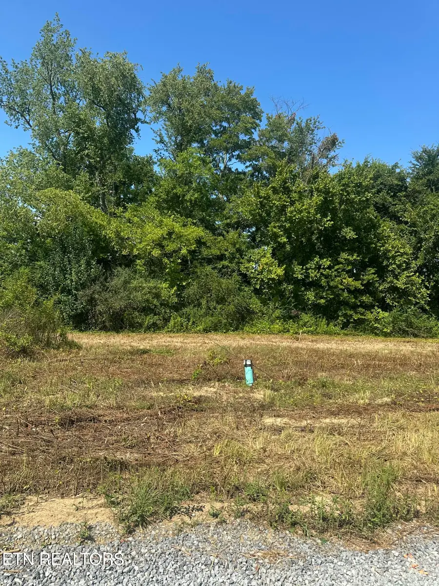 540 Henderson Rd #29, Pigeon Forge, TN 37863 - Image #2