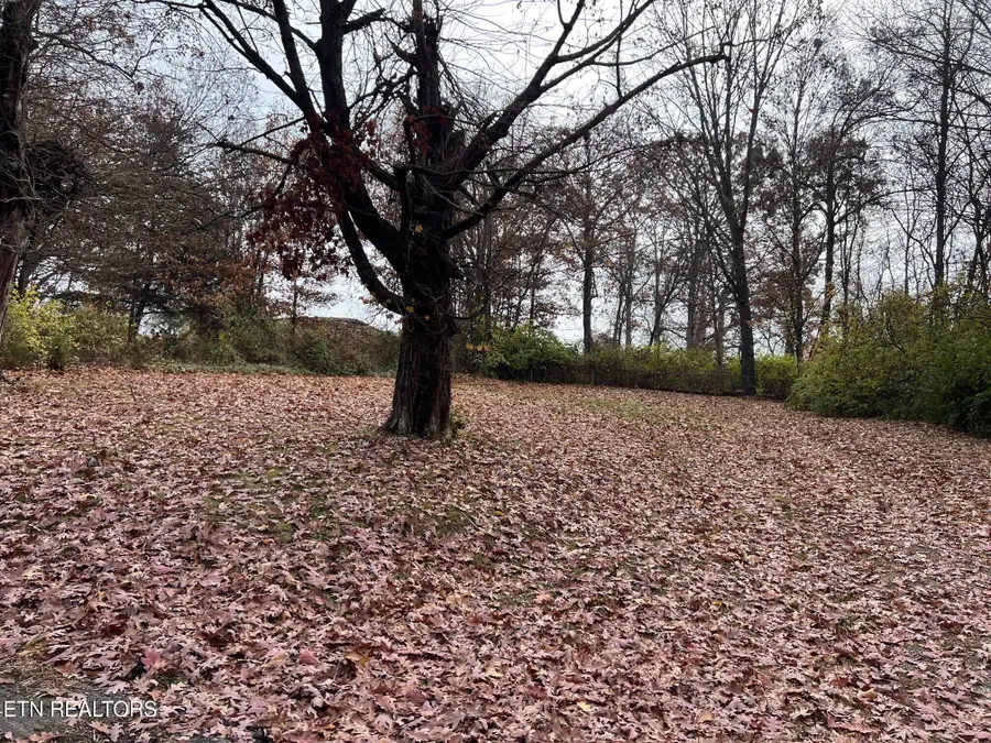 308 Branner St, Morristown, TN 37814 - Image #2