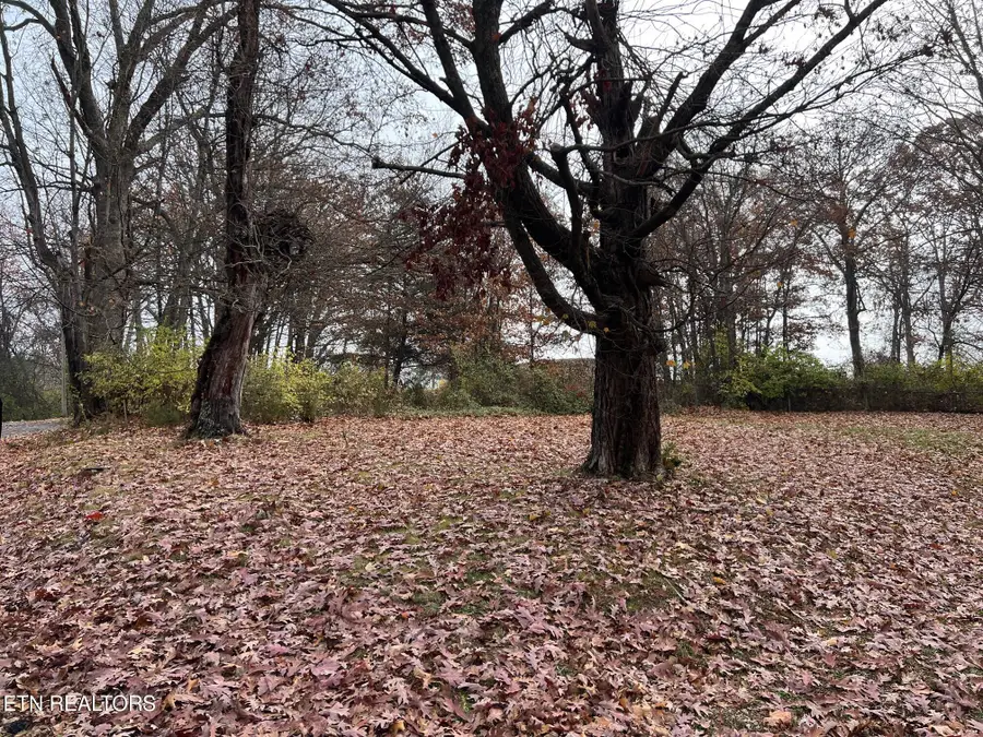 308 Branner St, Morristown, TN 37814 - Image #3