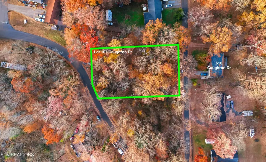 Lot 107 Caughron Drive, Sevierville, TN 37876 - Image #2