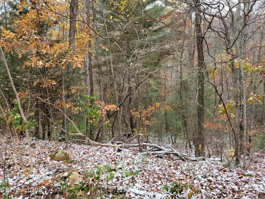 Lot 21 Hickory St, Sevierville, TN 37876 - Image #2