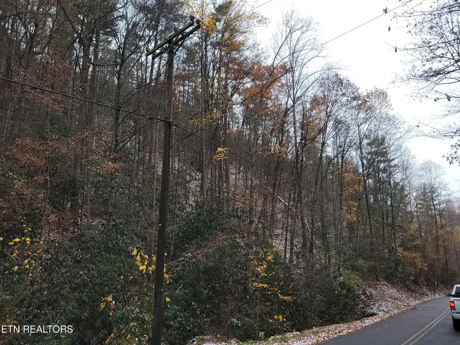 Lot 35/36 Alpine Drive, Sevierville, TN 37876 - Image #2