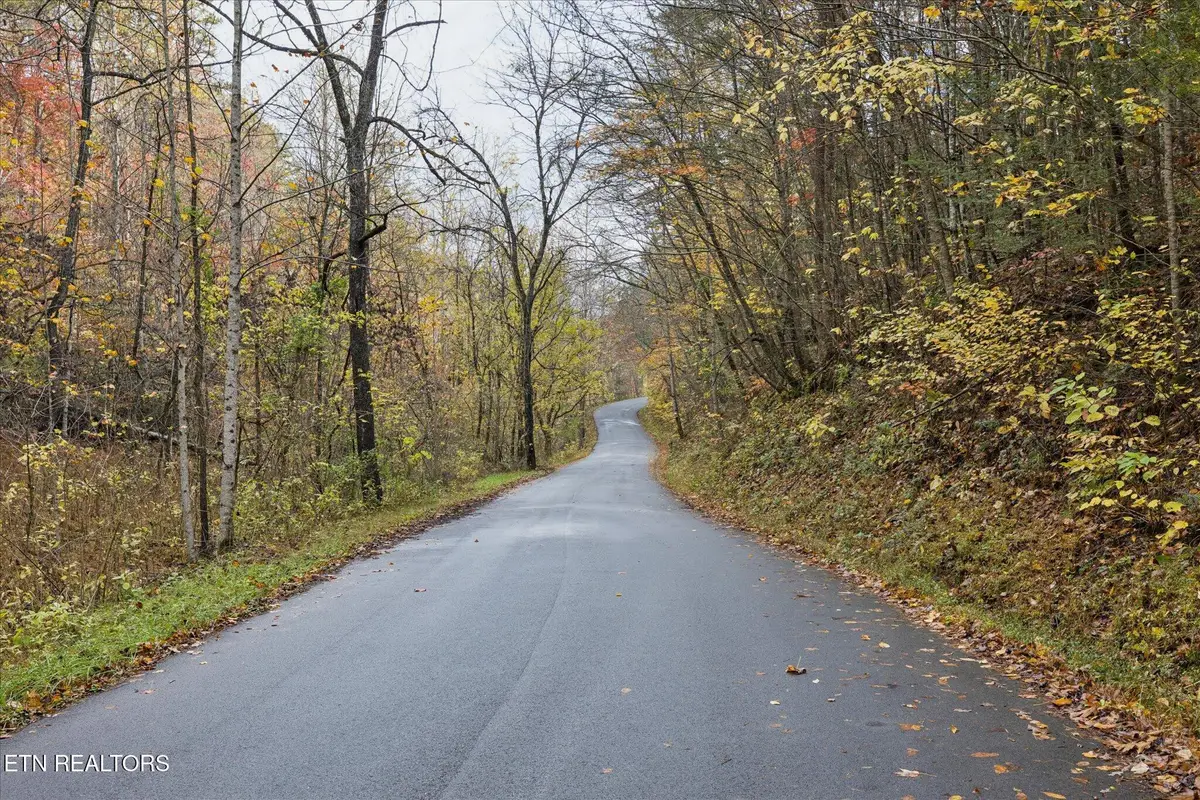 TBD Evans Chapel Rd, Sevierville, TN 37876 - Image #1