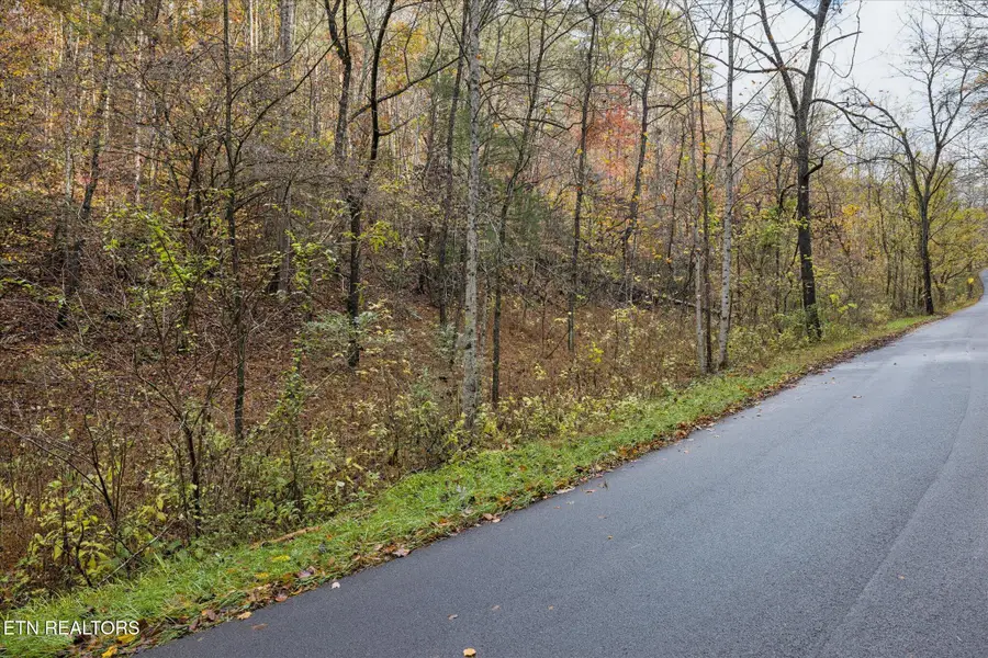TBD Evans Chapel Rd, Sevierville, TN 37876 - Image #3