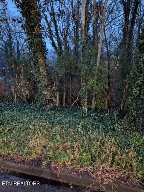 950 Cumberland St, Harriman, TN 37748 - Image #1