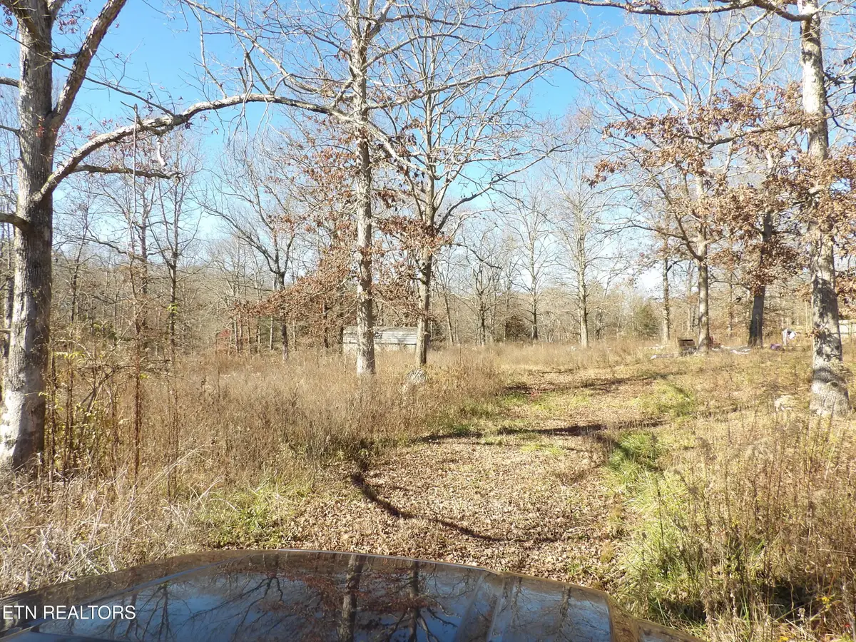 1755 Tabor Loop, Crossville, TN 38571 - #1