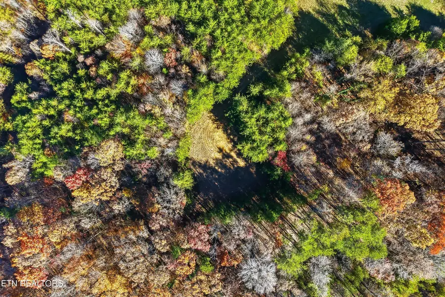 1518 Tom Mccall Rd, Maryville, TN 37801 - Image #3