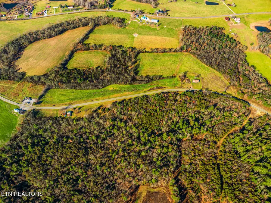 15649 Lantana Rd, Crossville, TN 38572 - Image #3