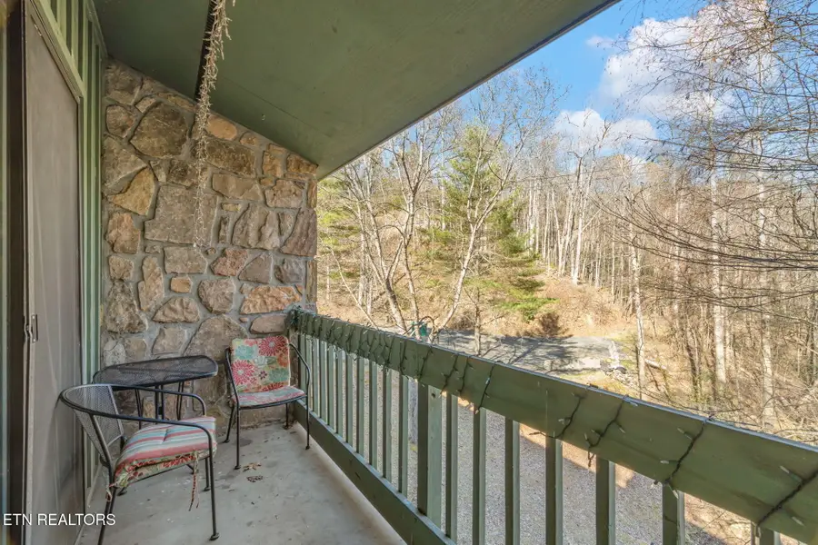 1435 Wiley Oakley Drive #176, Gatlinburg, TN 37738 - #3