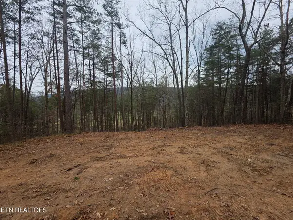 Lot 4 Parksville Road, Benton, TN 37307