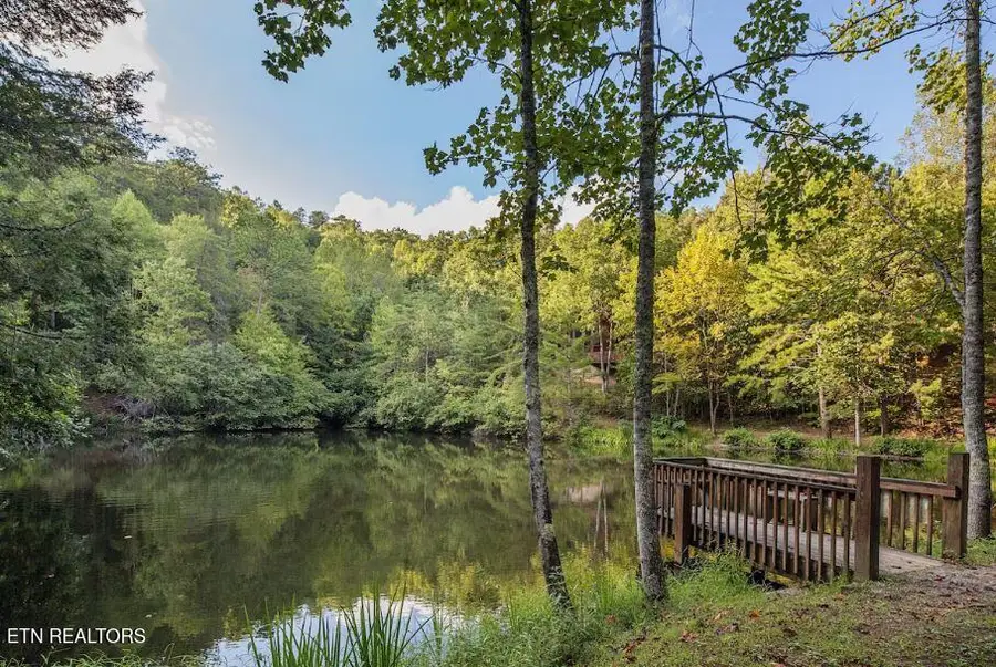 3163 Sourwood Way, Sevierville, TN 37862 - Image #3