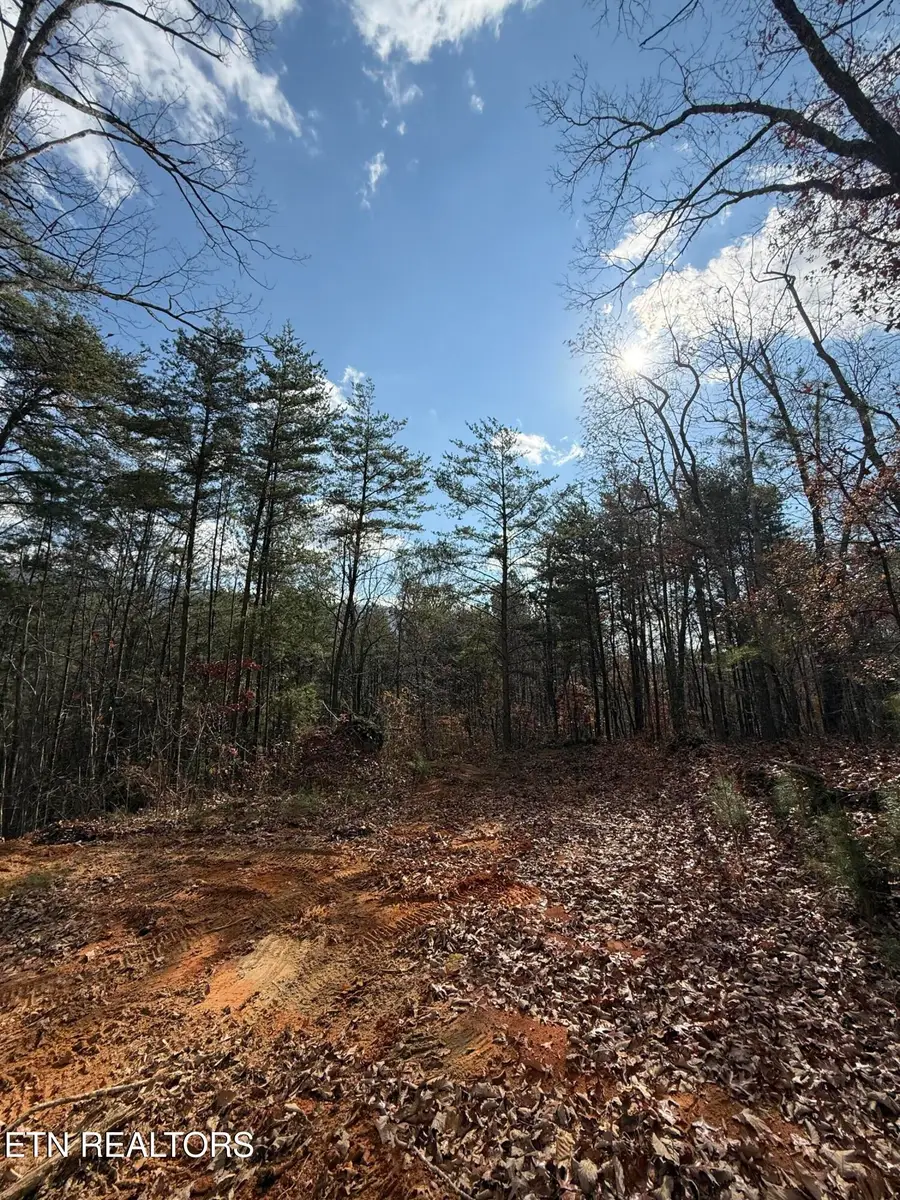 Lot 1 Parksville Road, Benton, TN 37307 - #2