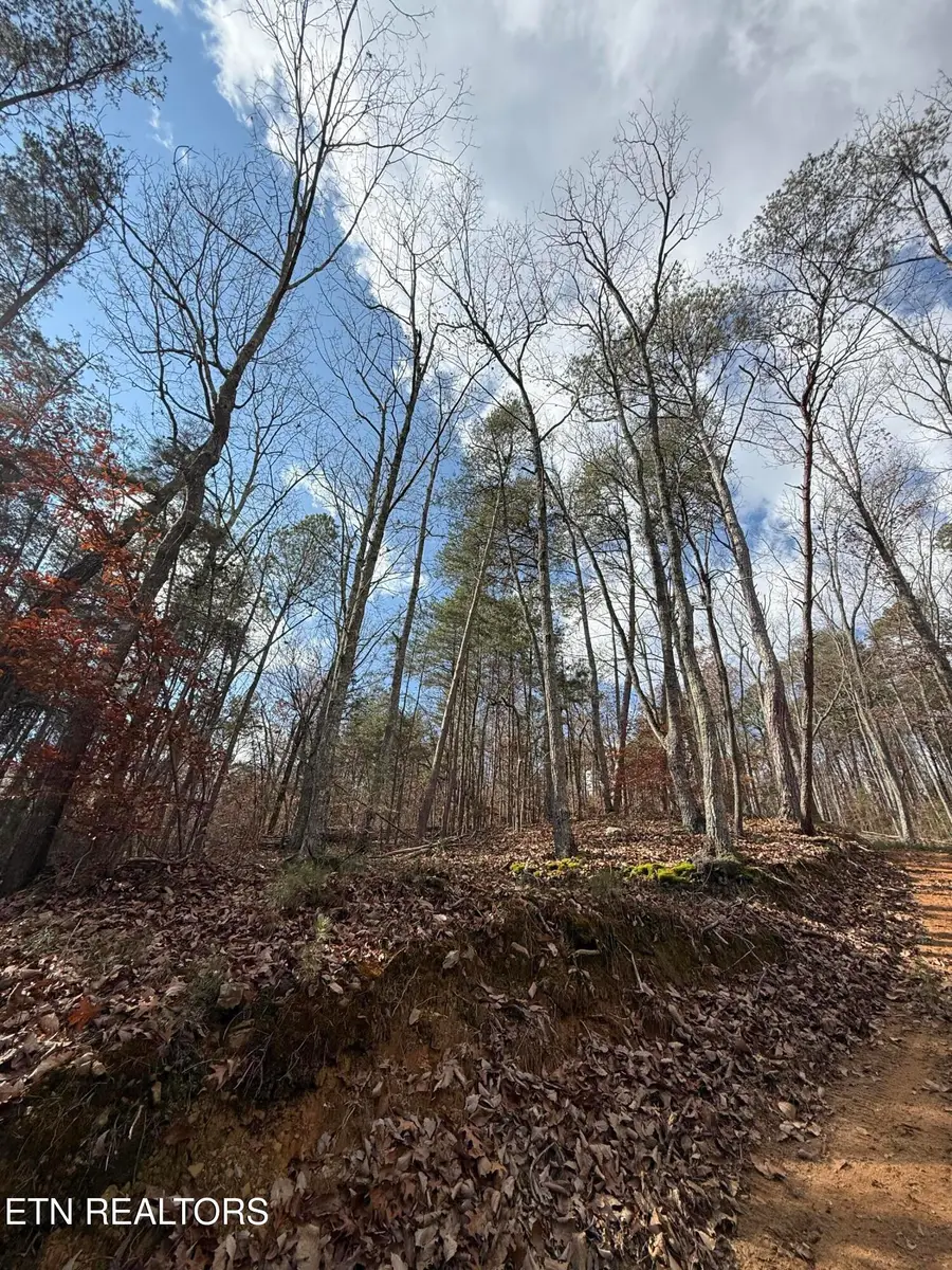 Lot 1 Parksville Road, Benton, TN 37307 - #3