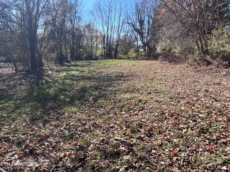 OFF Jefferson St, White Pine, TN 37890 - Image #2