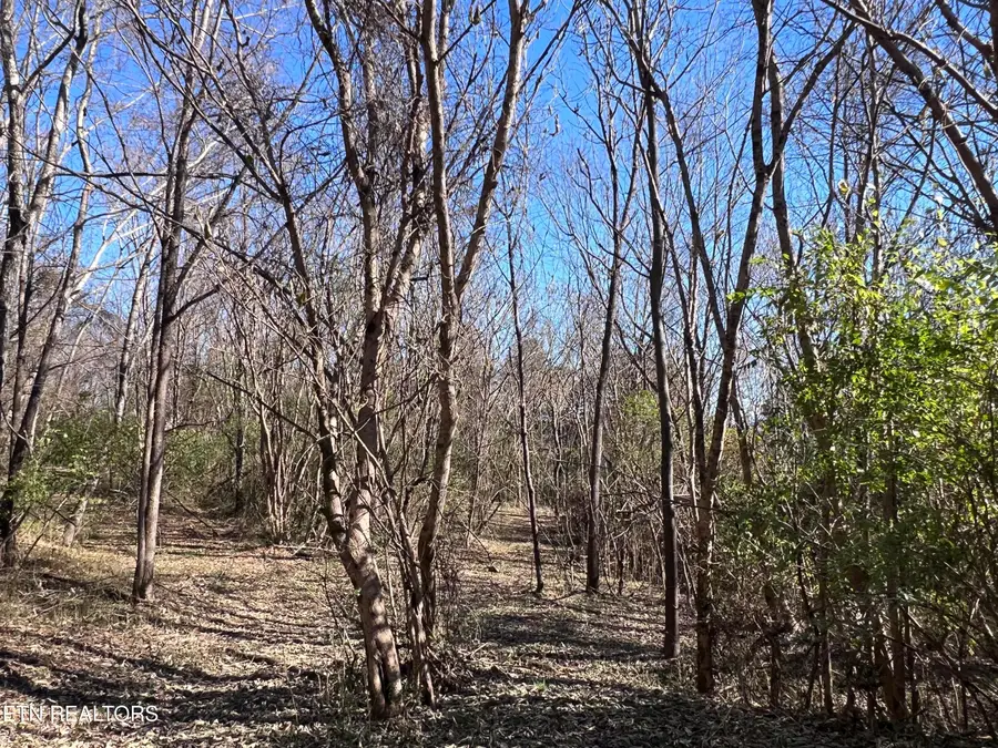 OFF Jefferson St, White Pine, TN 37890 - Image #3