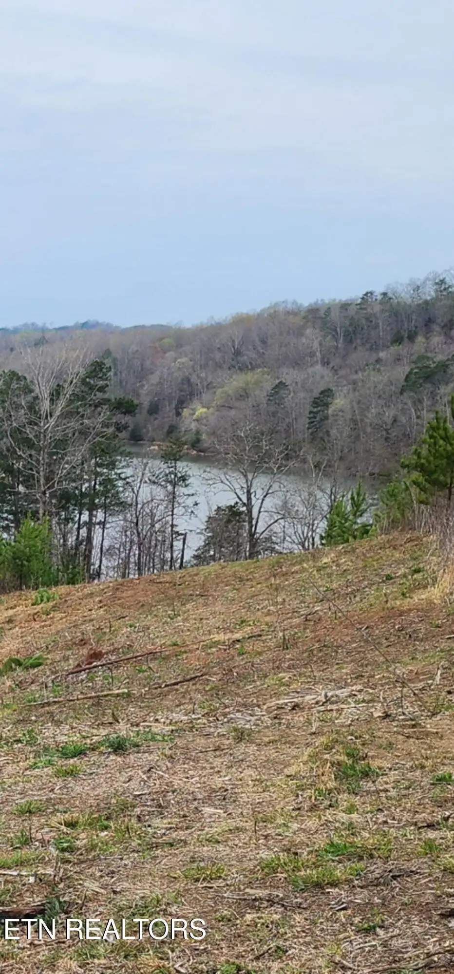 Lot 77 Saddleback Drive, Vonore, TN 37885 - Image #1