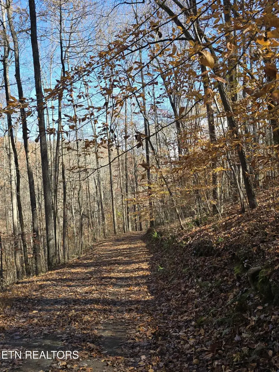 127 Lark Lane, Lafollette, TN 37766 - Image #3