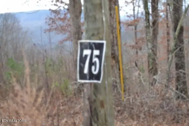 Lot 75 Tomahawk Rd, Jamestown, TN 38556 - Image #1