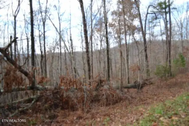 Lot 75 Tomahawk Rd, Jamestown, TN 38556 - Image #2