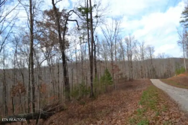 Lot 75 Tomahawk Rd, Jamestown, TN 38556 - Image #3