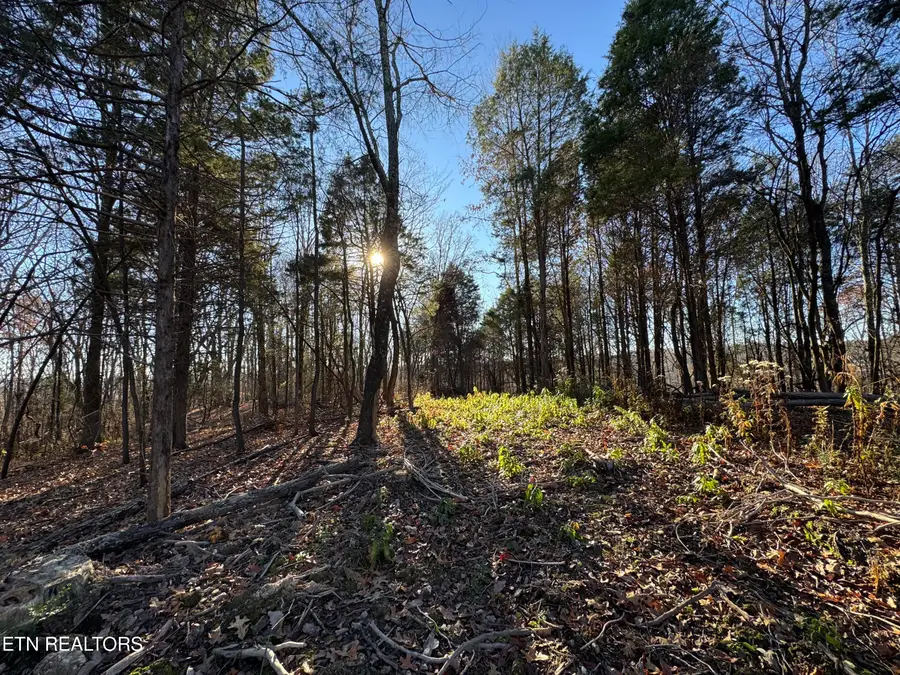 176 Billingsley Rd, Sweetwater, TN 37874 - Image #3