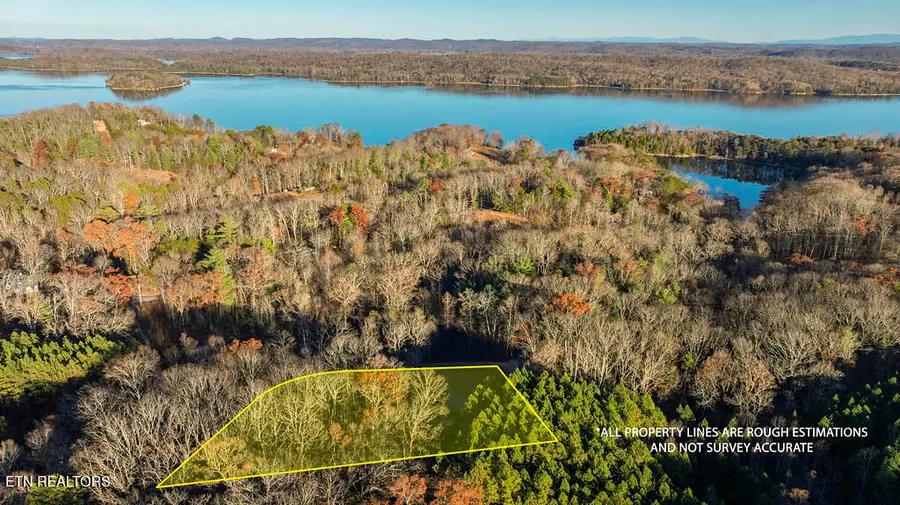 345 Magnolia Drive, Spring City, TN 37381 - #2