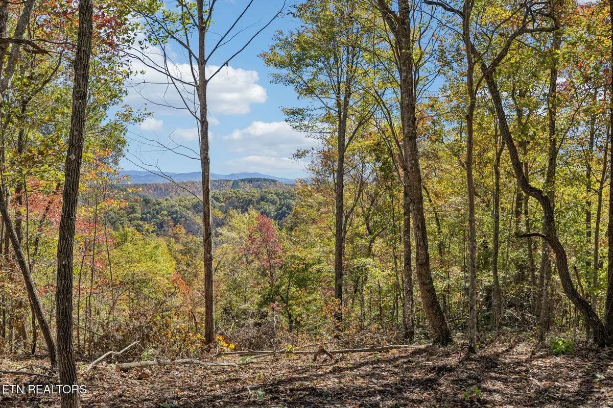 Sheep Ranch Rd, Robbins, TN 37852 - Image #1