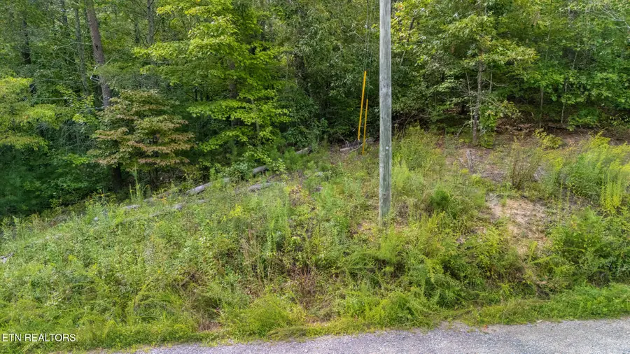 Tract 10 Dunn Creek Way, Sevierville, TN 37876 - Image #3