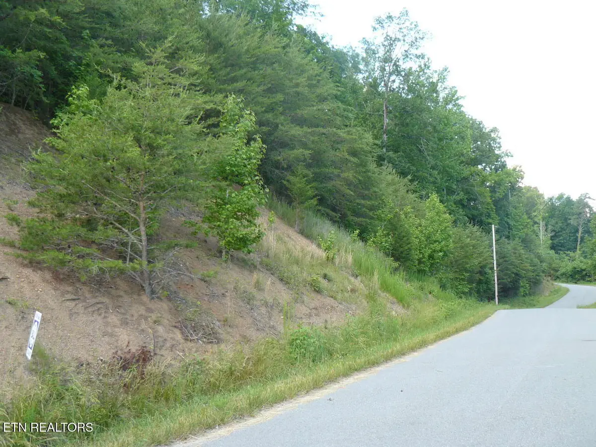 Lot 539 Whistle Valley Rd, New Tazewell, TN 37825 - Image #1
