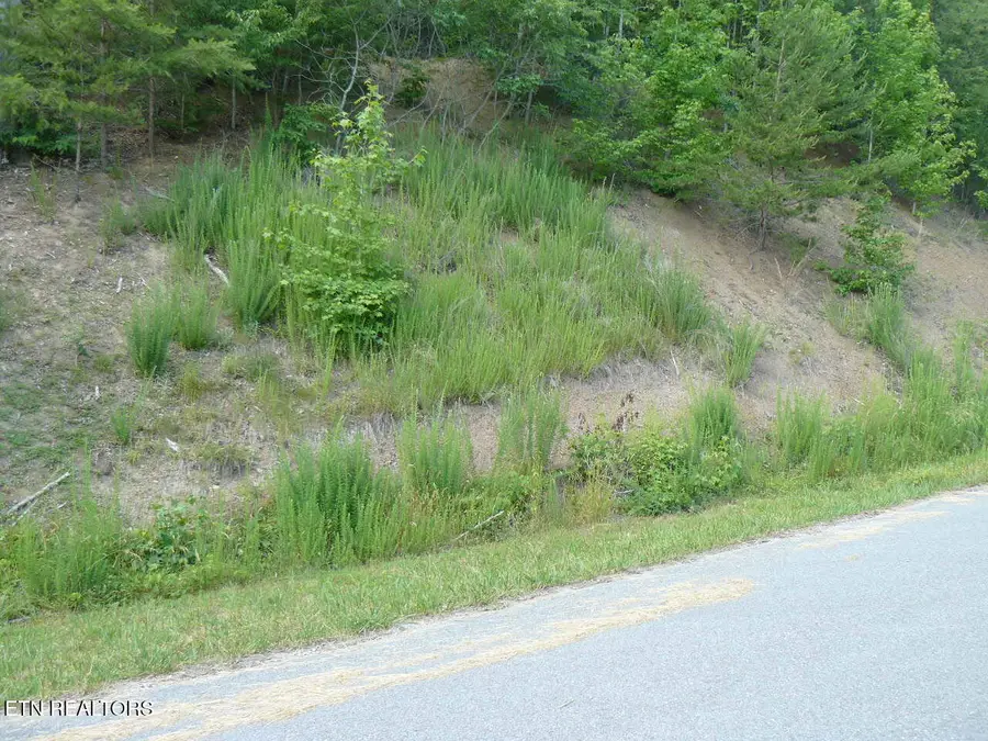 Lot 539 Whistle Valley Rd, New Tazewell, TN 37825 - Image #2