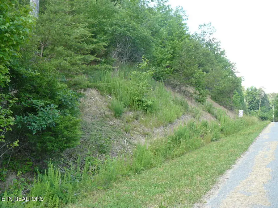 Lot 539 Whistle Valley Rd, New Tazewell, TN 37825 - Image #3