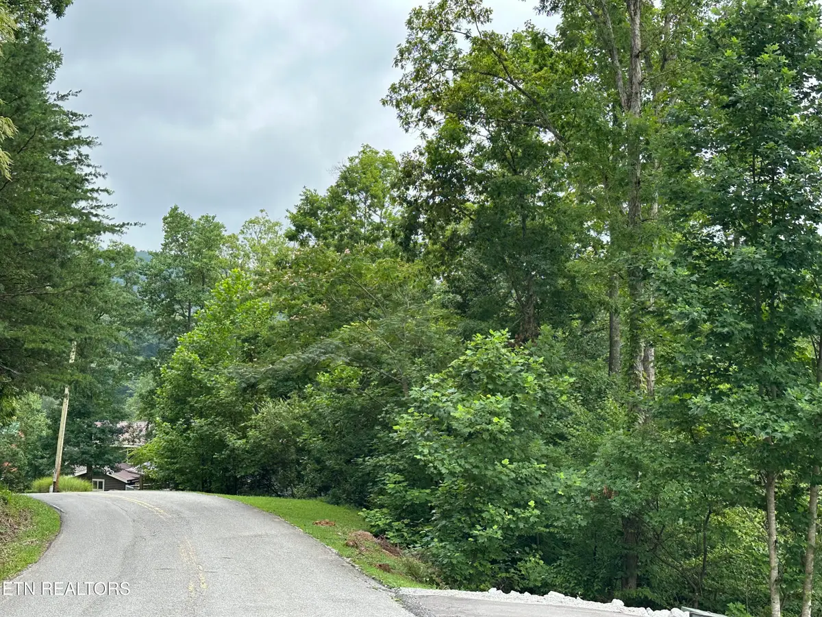 lots 21&22 Ridge Rd, Caryville, TN 37714 - Image #1