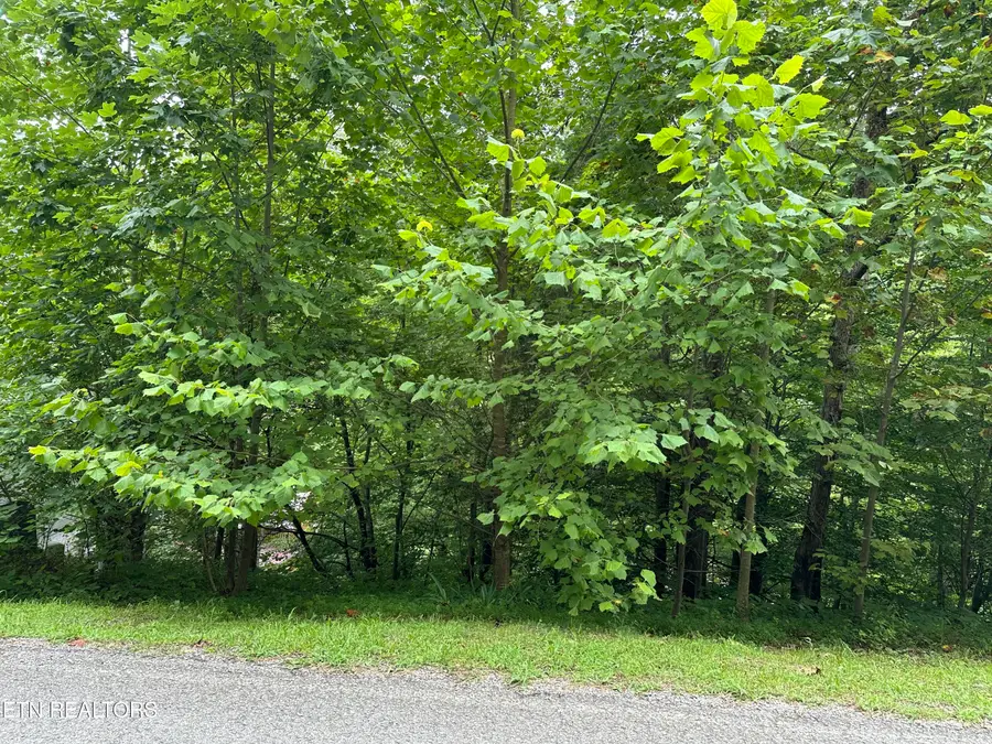 lots 21&22 Ridge Rd, Caryville, TN 37714 - Image #3