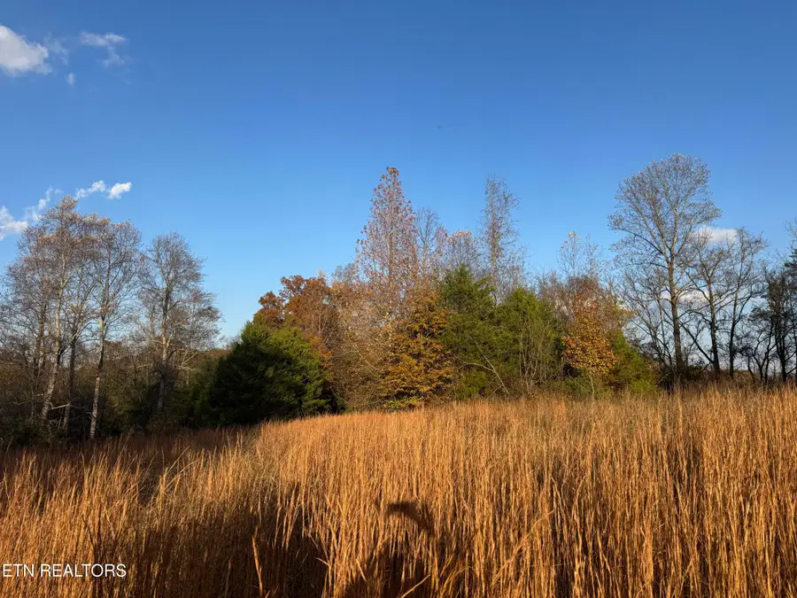 Brakebill School Rd, Madisonville, TN 37354 - Image #2