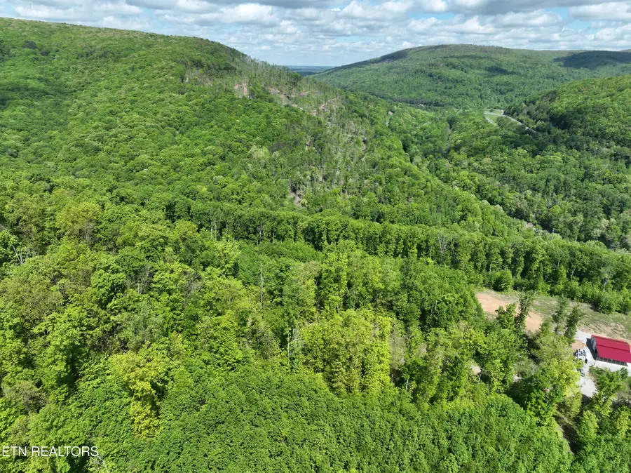 Lower Eagles Nest Rd, Crab Orchard, TN 37723 - Image #3